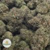 PINK-GAS-3
