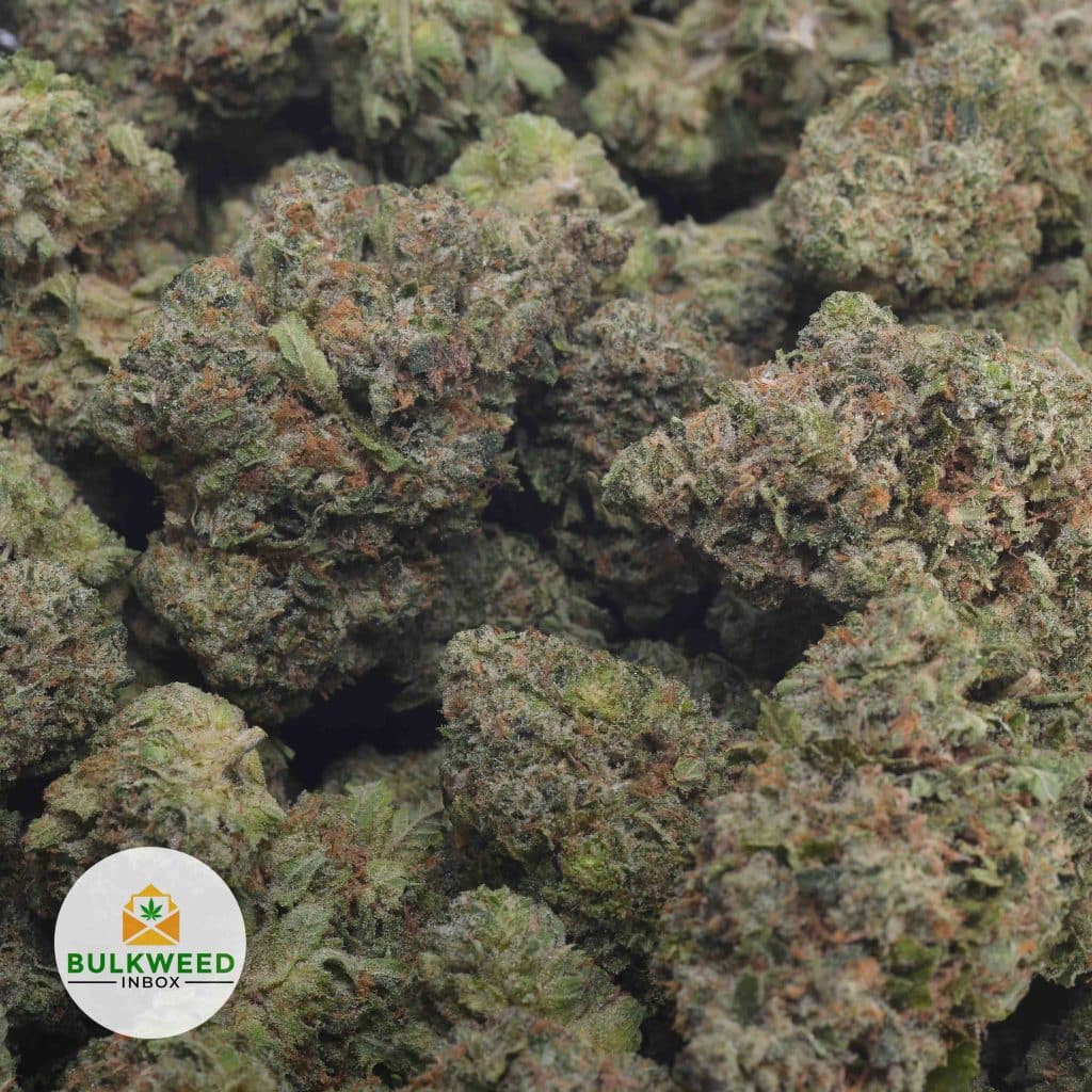PINK-GAS-3