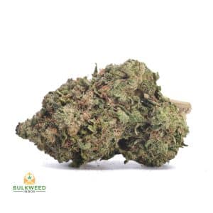 PINK-GAS