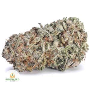 PLATINUM-SILVER-HAZE-AAA1