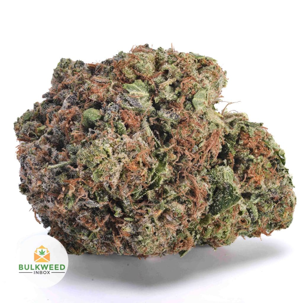 PURPLE-DEATH-BUBBA-AAAA1