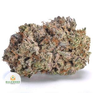 PURPLE-SPACE-TUNA-AAA1