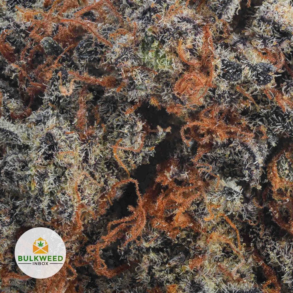 Platinum-Bubba-Kush-AA2-1