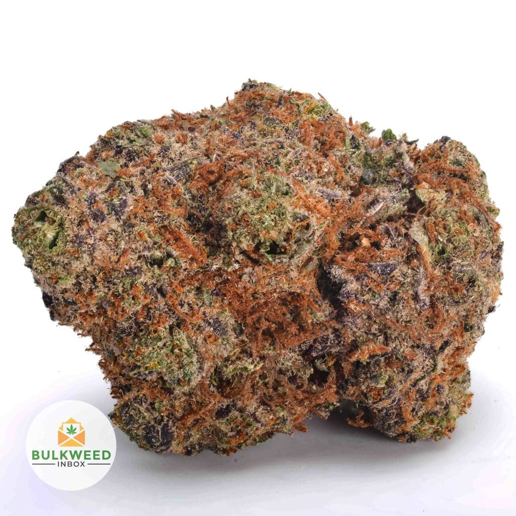 RED-CONGOLESE-BBAAA1