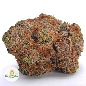 RED-CONGOLESE-BBAAA1