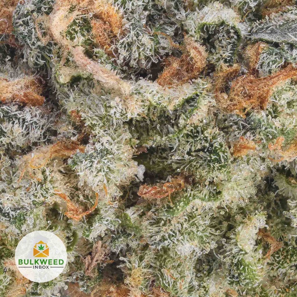 THIN-MINT-COOKIES-POPCORN-AAA2