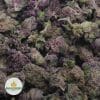 TROPICANA-COOKIES-3