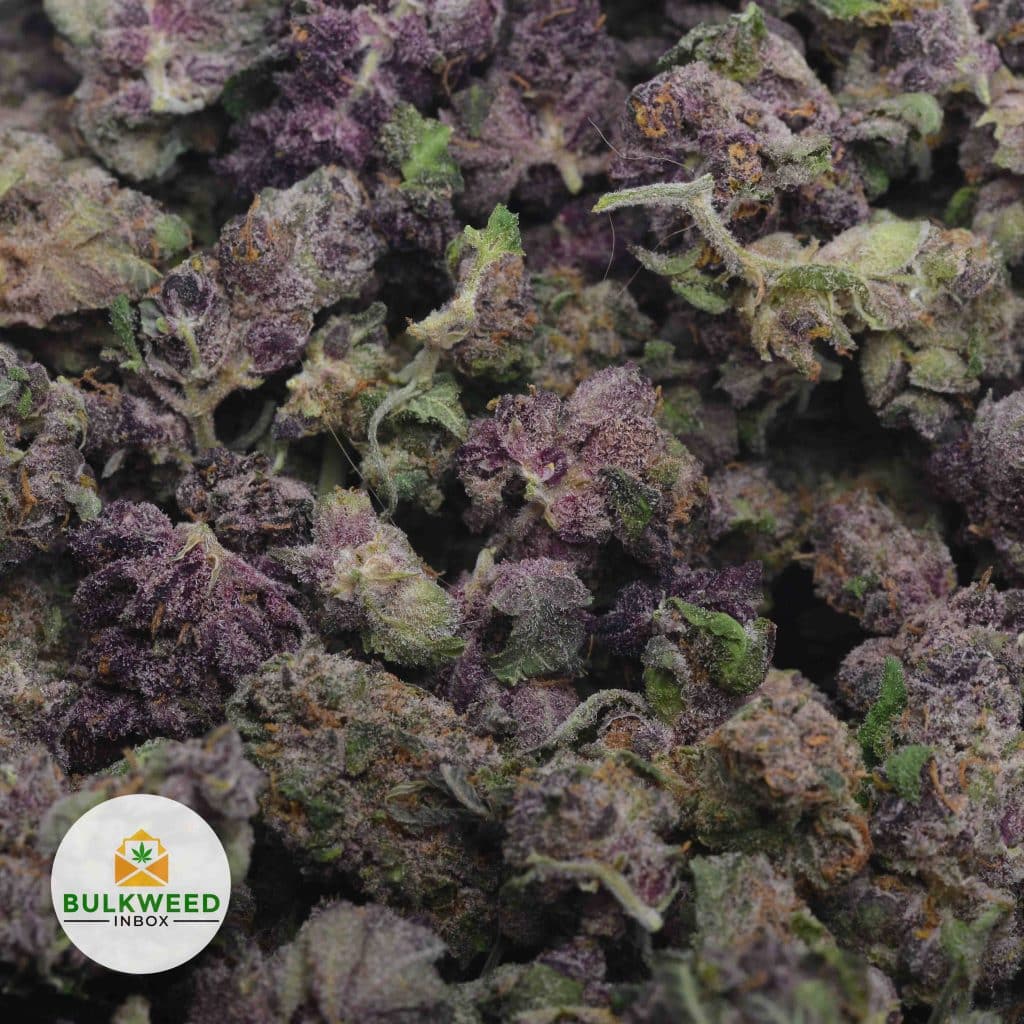 TROPICANA-COOKIES-3