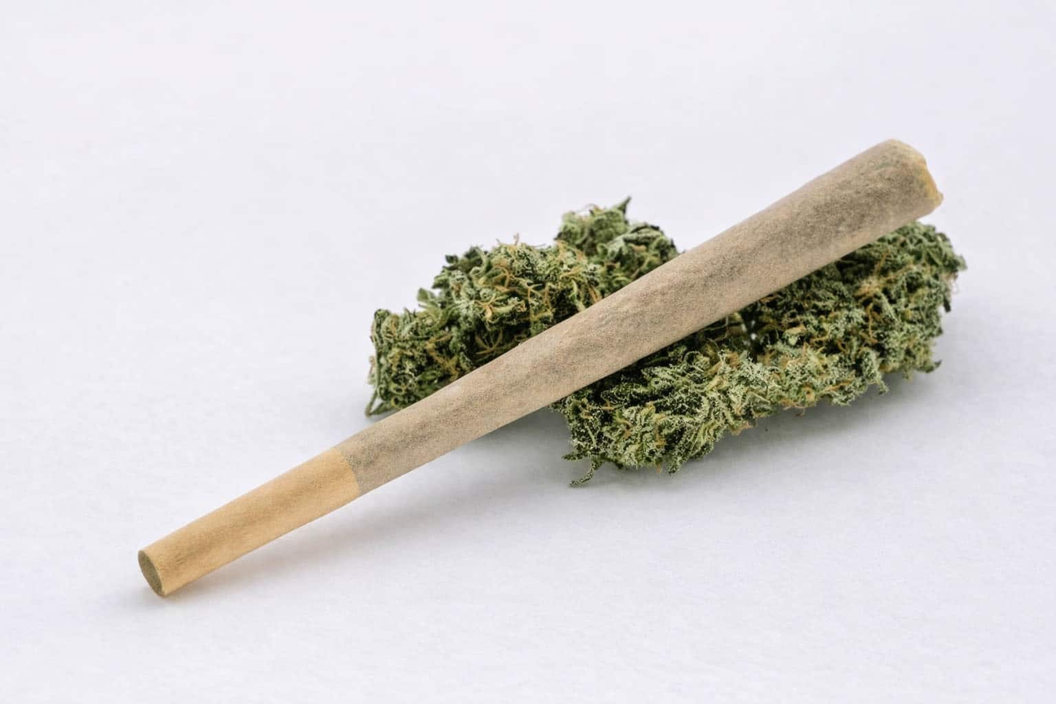 infused-pre-rolls-canada-2026