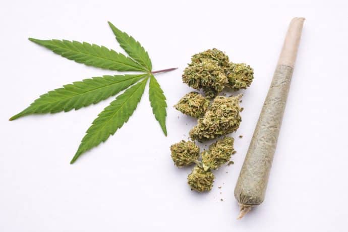 strongest-cannabis-pre-rolls-thc-diamonds