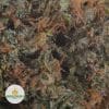 DEATH-BUBBA-2