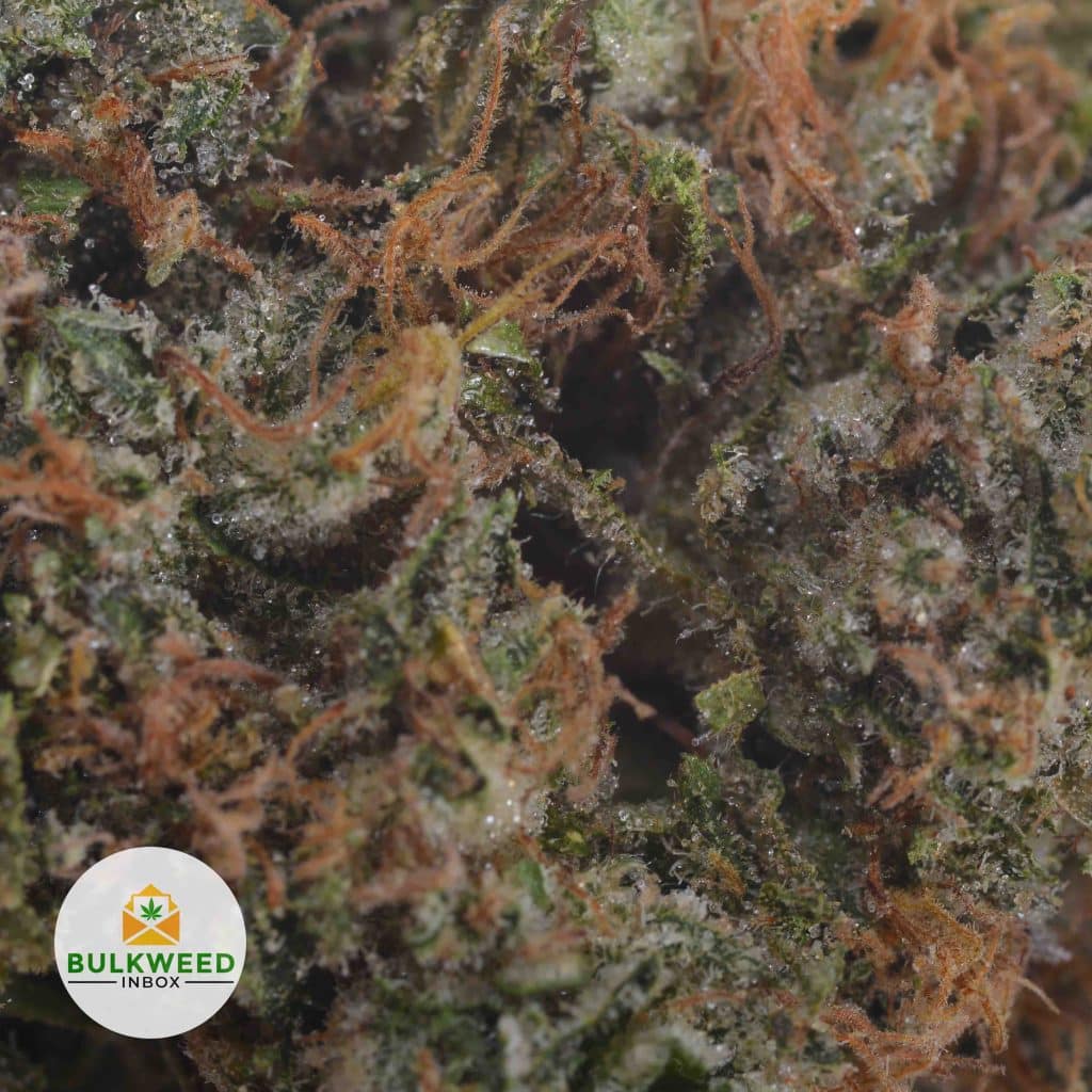DEATH-BUBBA-2