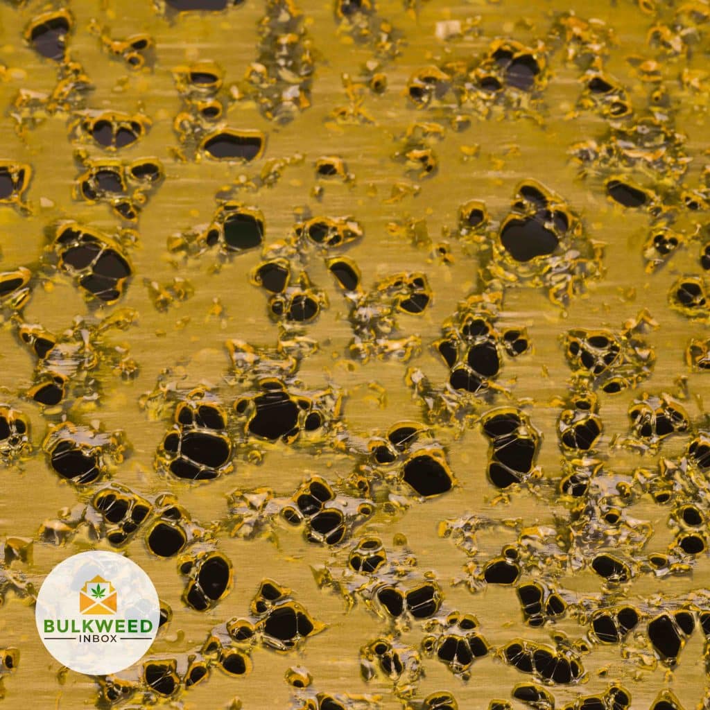 LIT-EXTRACTS-DANK-SINATRA-SHATTER