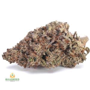 MODIFIED-ROOTBEER-AA1