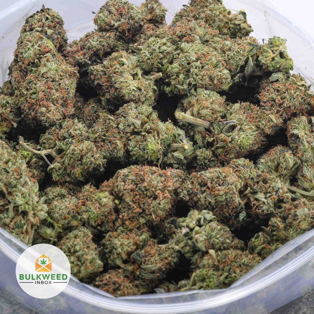 BLUE-FIN-TUNA-KUSH-BBAAAA