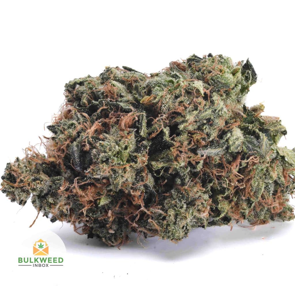 BLUE-FIN-TUNA-KUSH-BBAAAA1