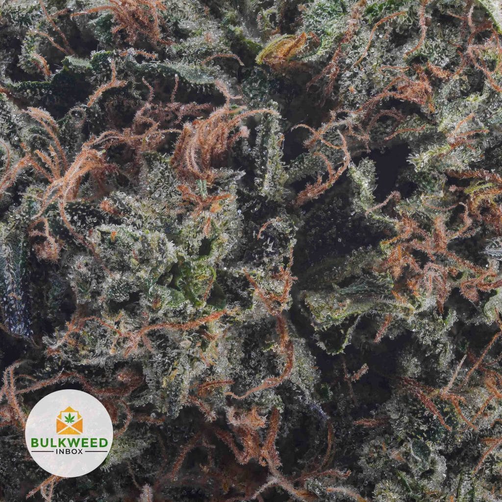 BLUE-FIN-TUNA-KUSH-BBAAAA2