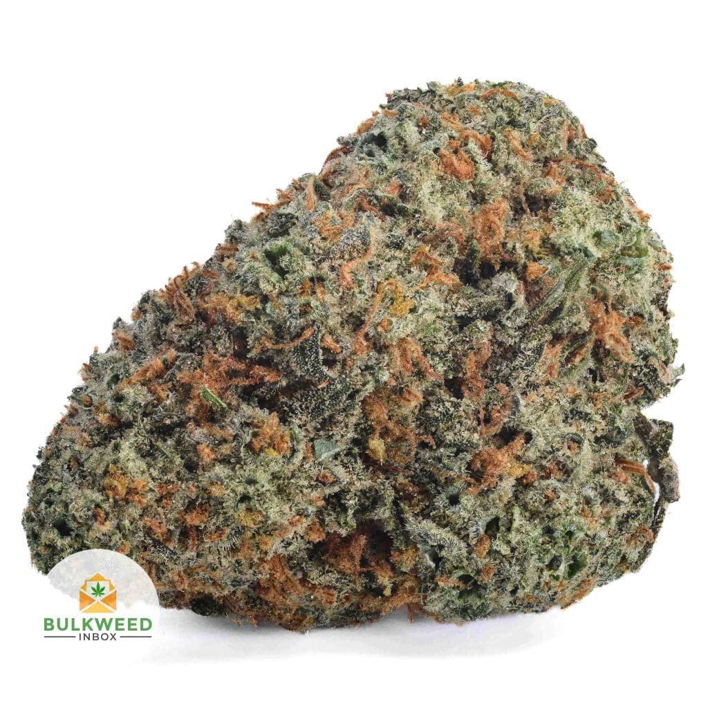 BLUEBERRY-DREAM-AAA1