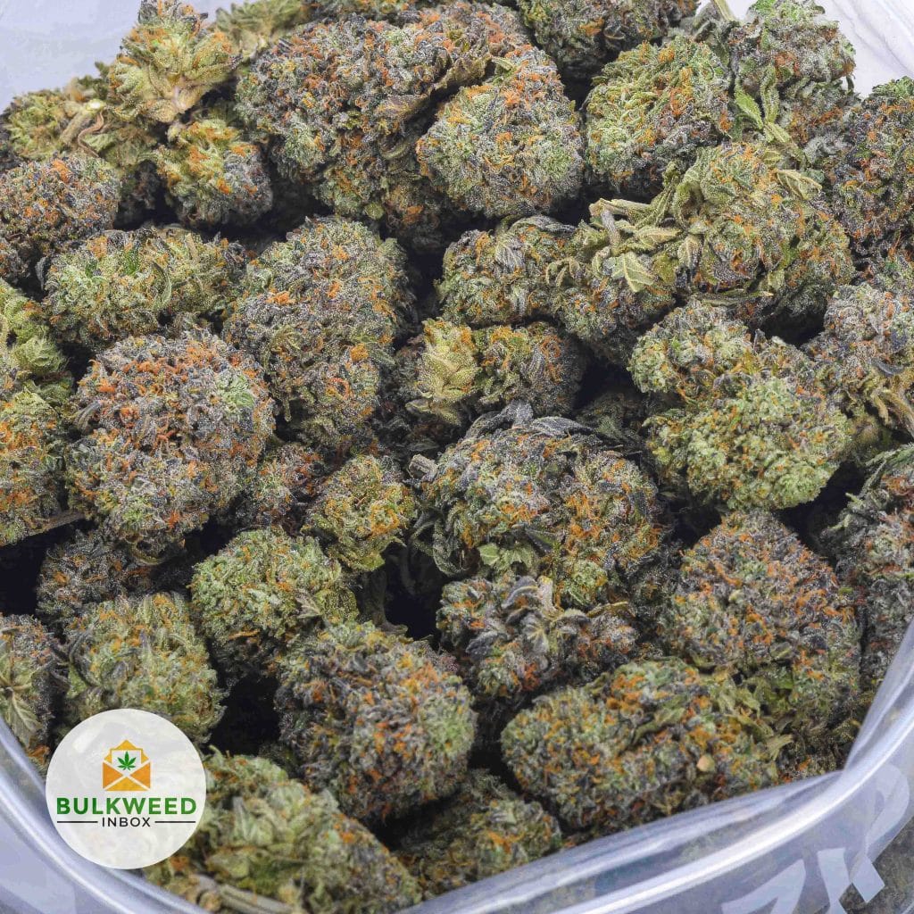 BLUEBERRY-MUFFIN-AAAA