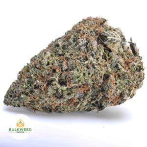 CINDERELLA-99-BBAAA1