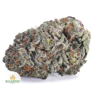 GMO-COOKIES-AAA1