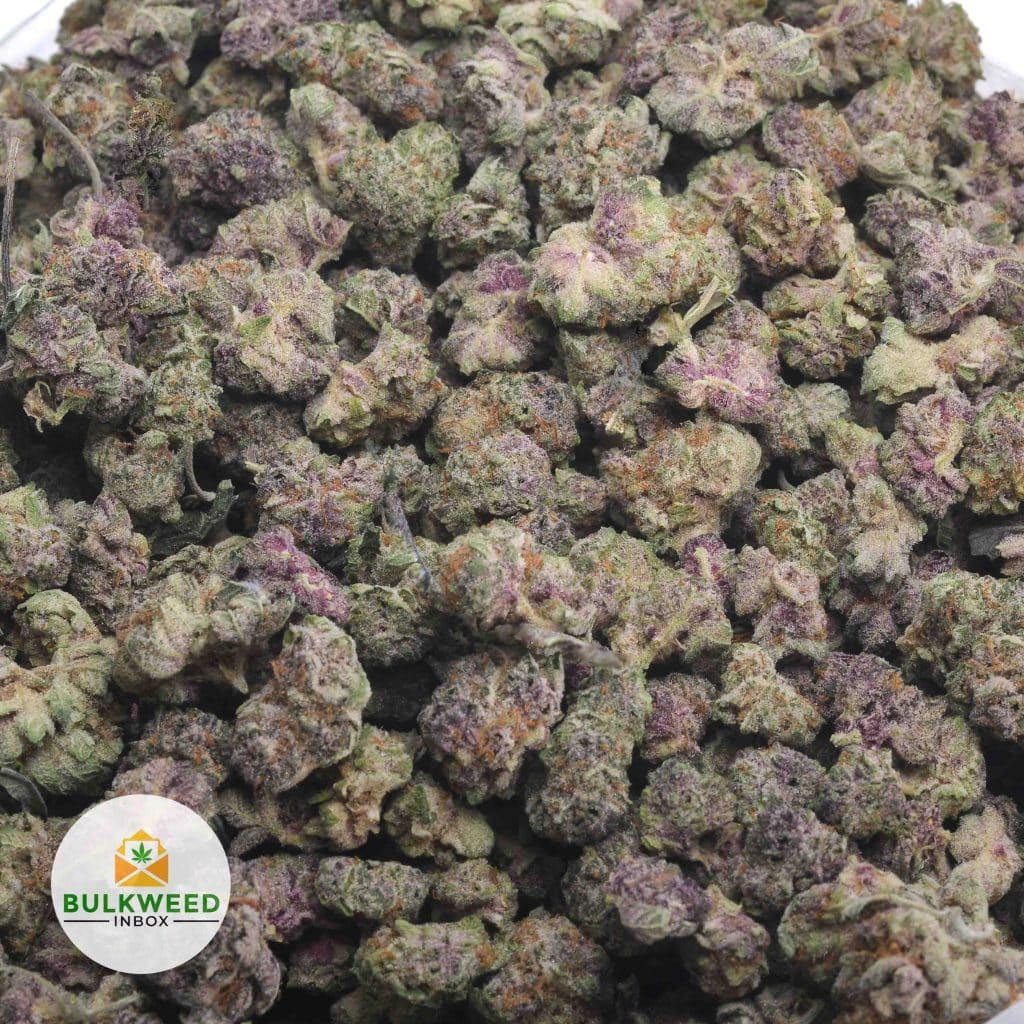 GRAPE-APE-POPCORN-3