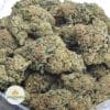 LEMON-SKUNK-3
