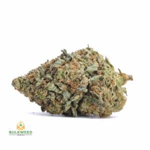 LEMON-SKUNK