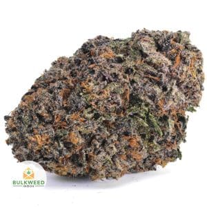 MENDOCINO-PURPLE-BBAAA1