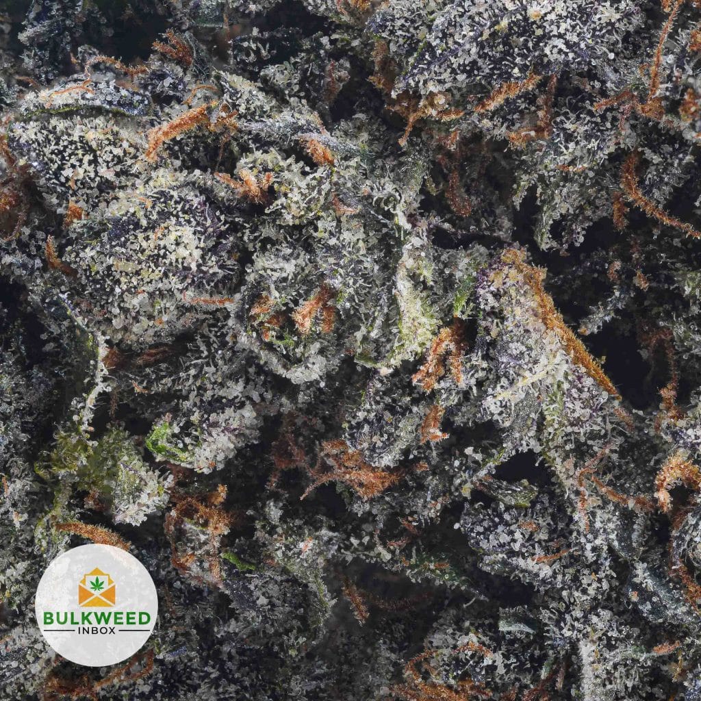 PERMANENT-MARKER-BBAAAA2