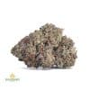 PINK-KUSH