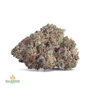 PINK-KUSH