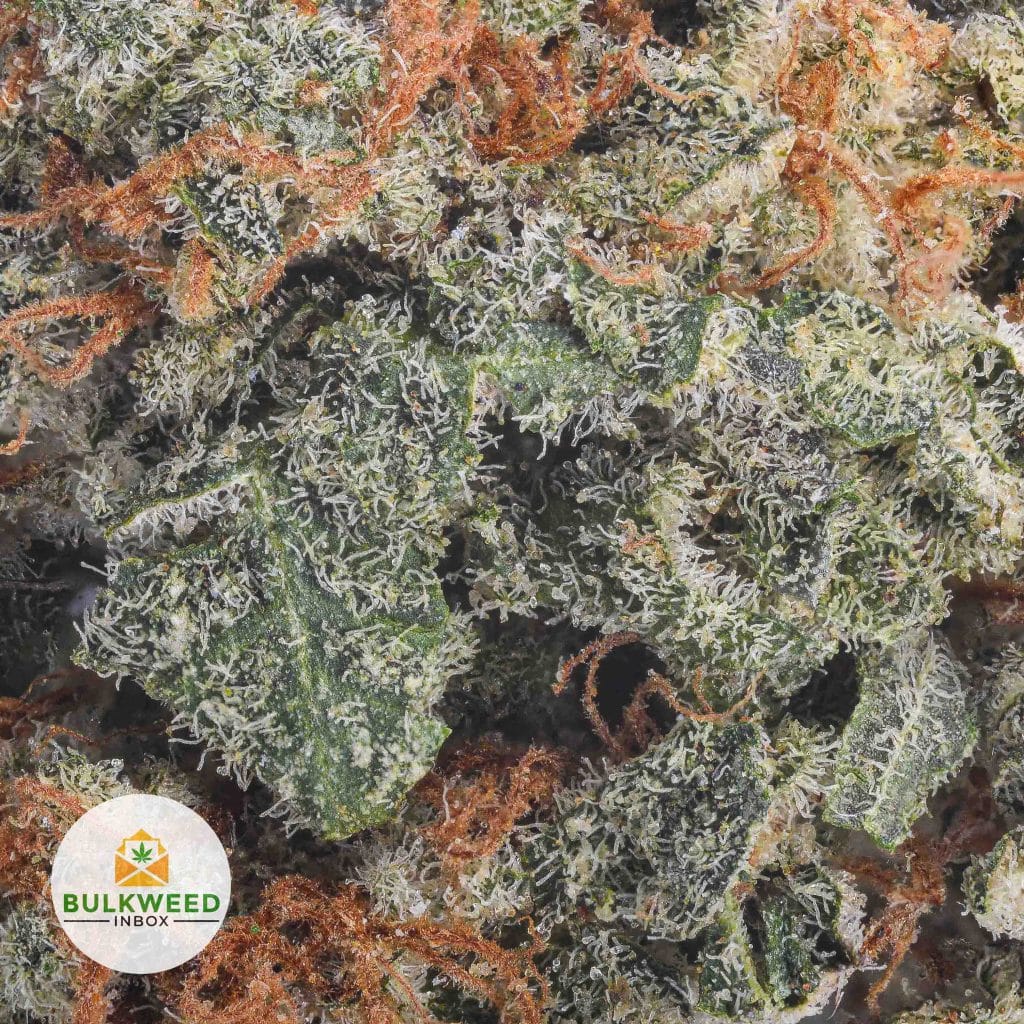 PLATINUM-COOKIES-BBAAA2