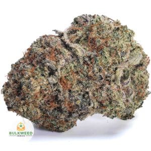 PURPLE-OCTANE-BBAAAA