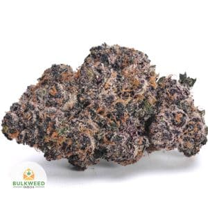 PURPLE-WRECK-AAAA1