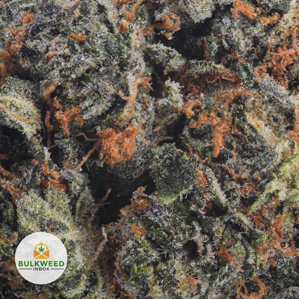 STRAWBERRY-LEMONADE-BBAAA2-2