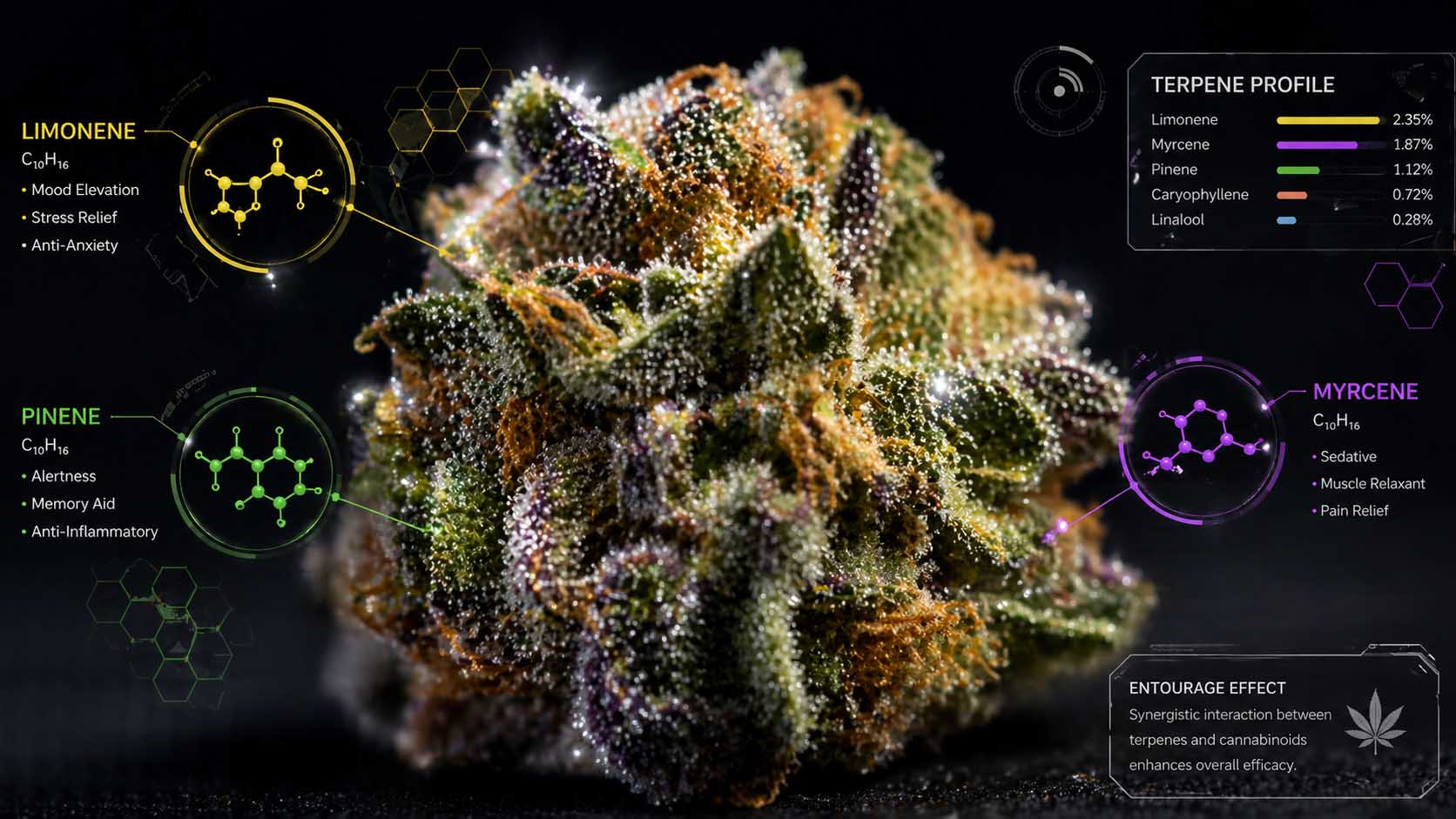 Terpene-Visualization-Macro