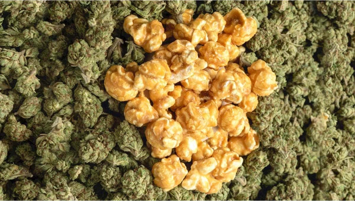 popcorn-nuggets-vs-big-buds-weed-valu