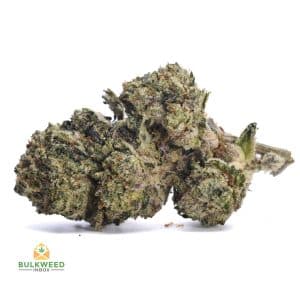 signal-2026-04-27-090555_003