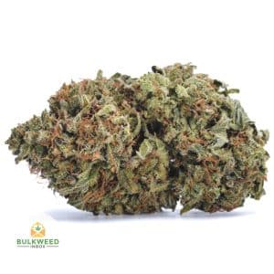 signal-2026-04-27-091628_002