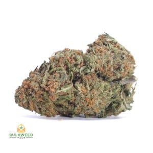 signal-2026-04-30-091558_004