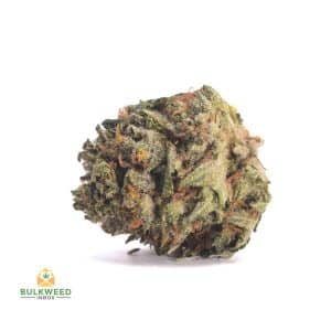 signal-2026-04-30-093219_003