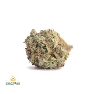 signal-2026-04-30-094009_003