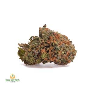 signal-2026-04-30-094756_003