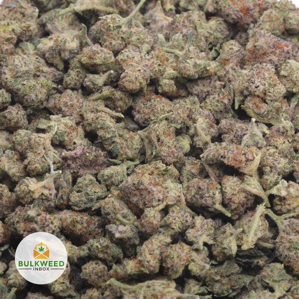 BLUEBERRY-POPCORN-2
