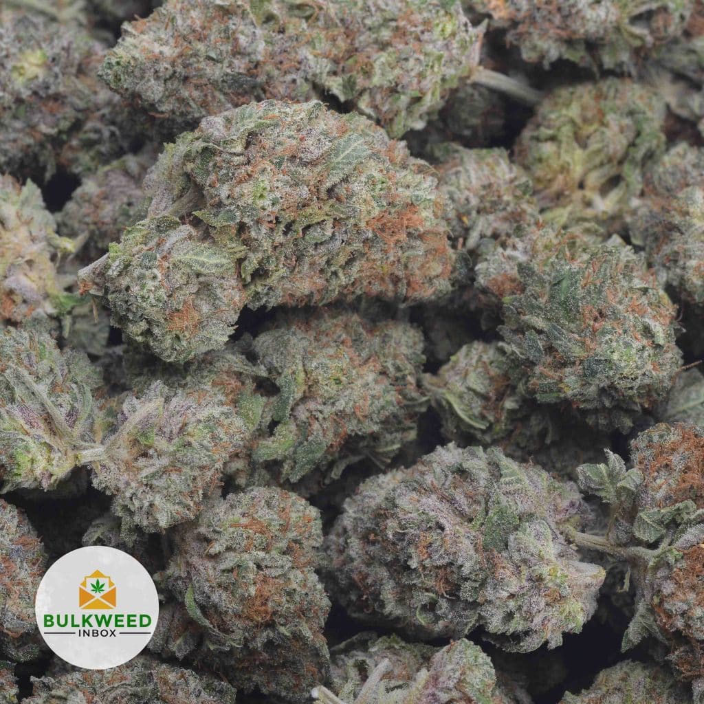 CRITICAL-MASS-3