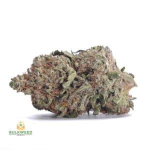 CRITICAL-MASS