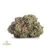 DEATH-BUBBA