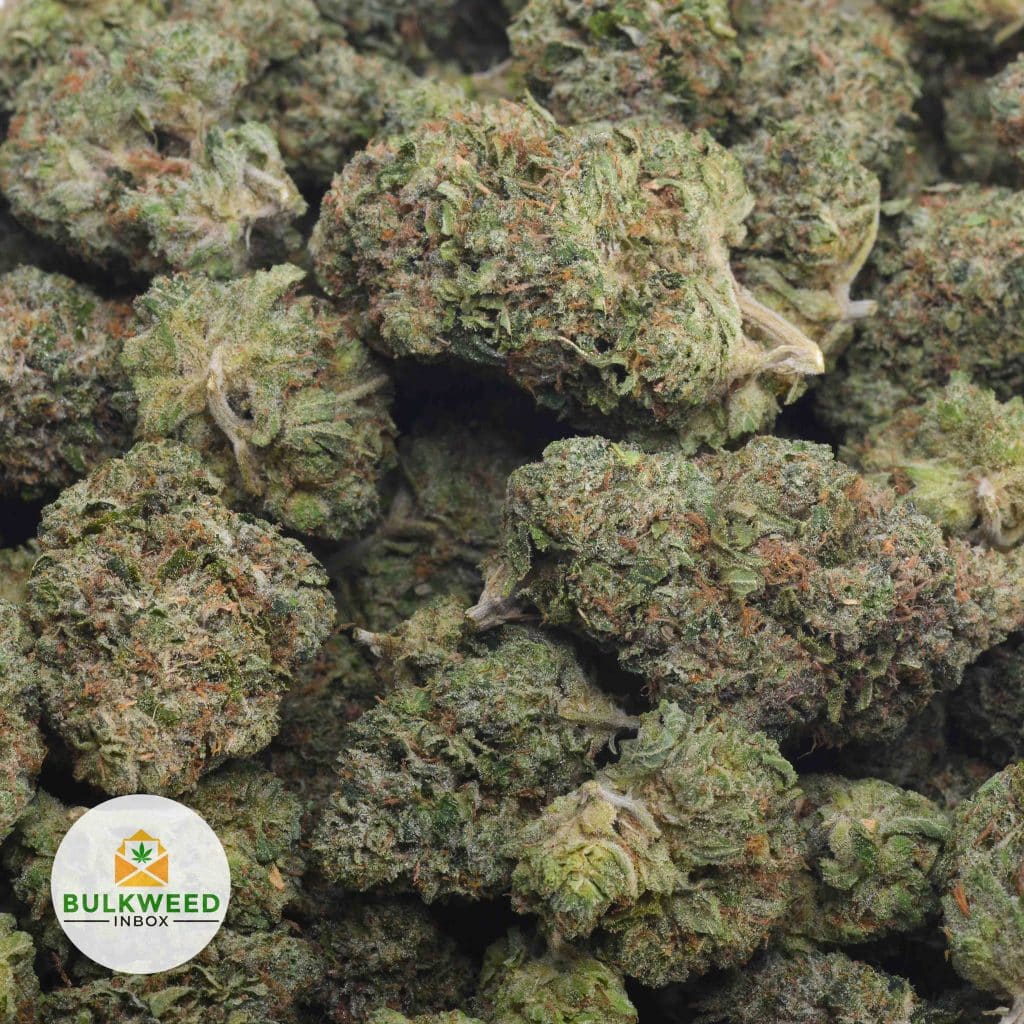 DEATH-BUBBA-3