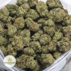 DEATH-PINKS-AAA-2